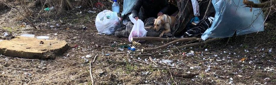 Benamių kankinta kalytė išvaduota ir apgyvendinta „SOS gyvūnai“ kiemelyje 