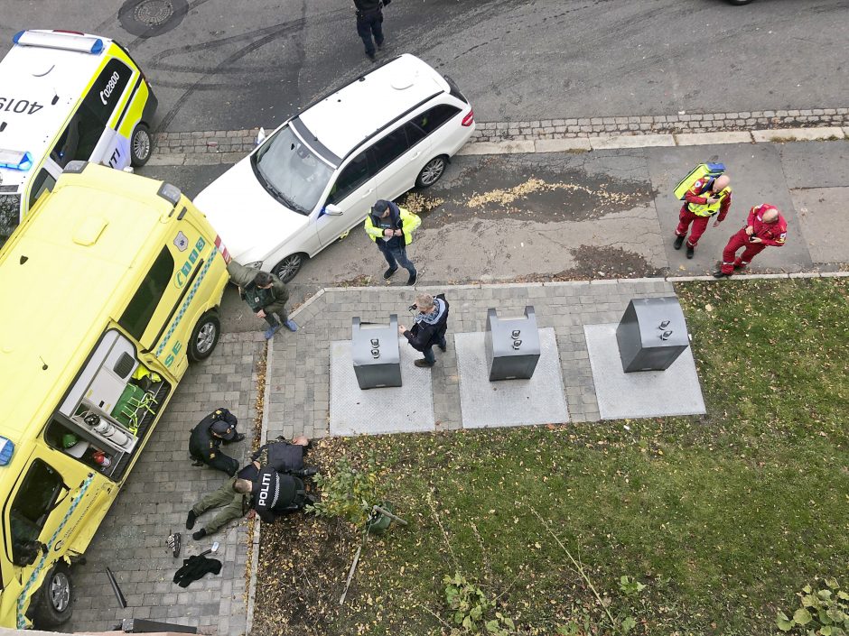 Oslo policija sulaikė greitosios pagalbos automobilį pagrobusio vyro bendrininkę