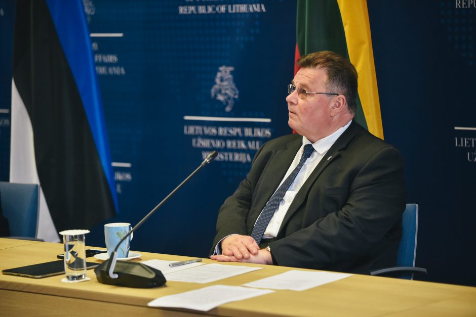 Ministras: niekada Lietuvos diplomatai nebuvo tokie atviri bendravimui su žmonėmis