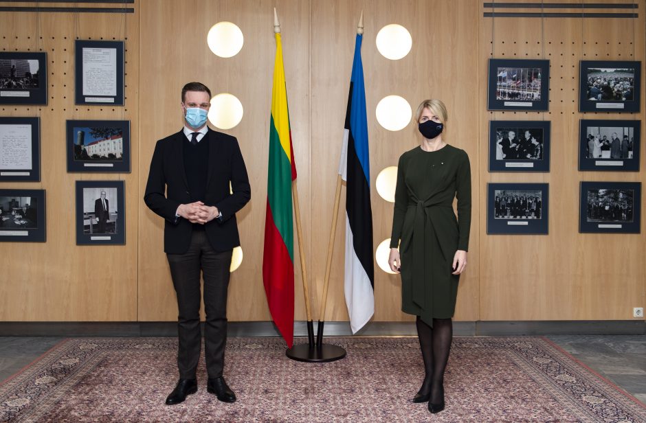 G. Landsbergis Taline: Lietuva pasirengusi padėti Estijai, kovojančiai su koronaviruso pandemija