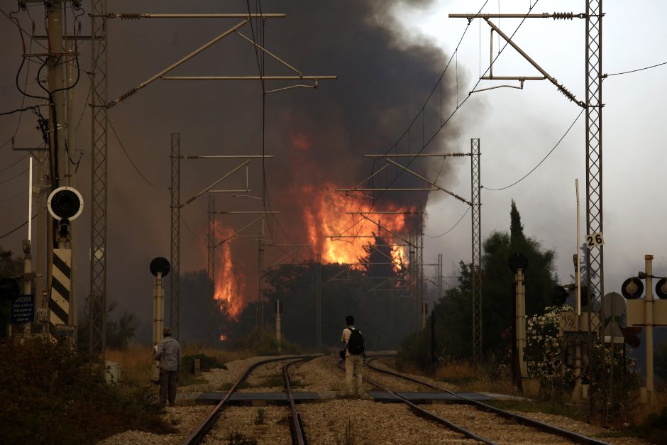 Graikijoje didžiulis gaisras pasiekė Atėnų priemiesčius