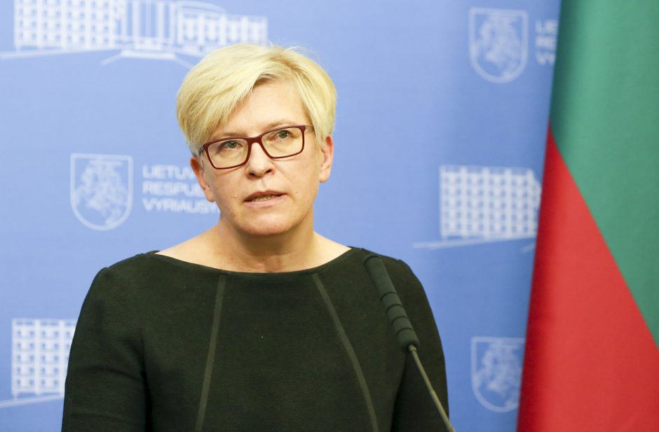 I. Šimonytė perspėja Vakarų politikus santykiuose su Rusija nelipti ant to paties grėblio