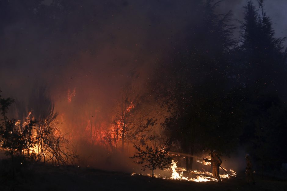Portugalija: gaisrai išdegino daugiau nei 100 tūkst. ha plotą
