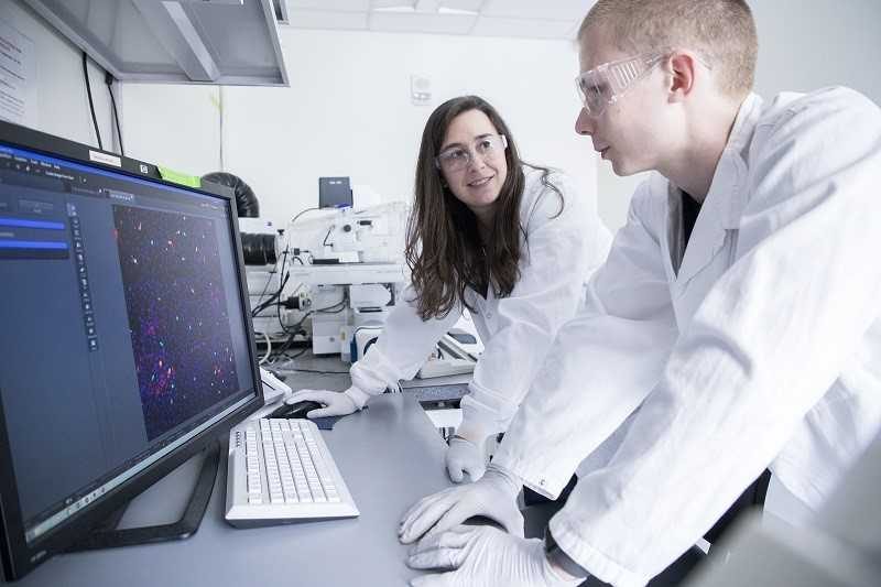 VU Gyvybės mokslų centro doktorantas – vienas iš naujo ląstelių tipo atradėjų