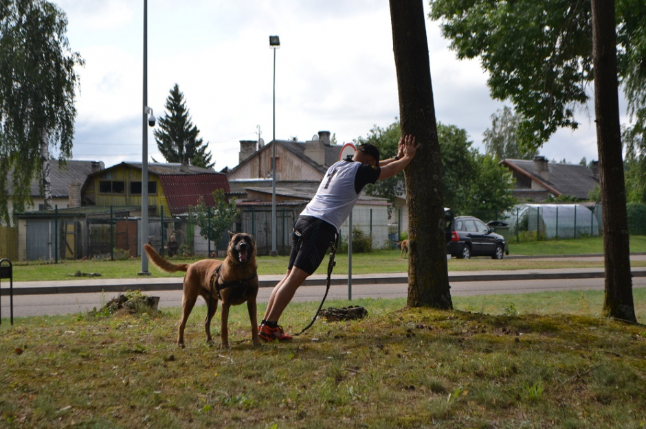 Vilniaus rajone – biatlono su šunimis varžybos