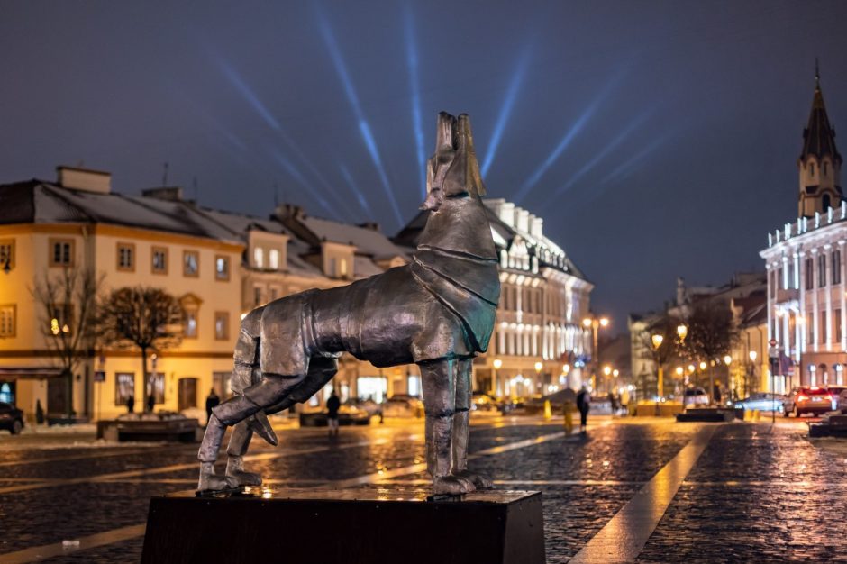 Nauja instaliacija „Vilkas avies kailyje“ primins apie vertybių pasirinkimą ir buvimą savimi