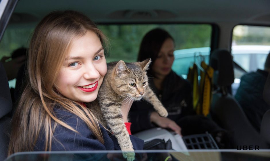 Akcija „UberKittens“ pavyko – naujus namus rado dvi katės