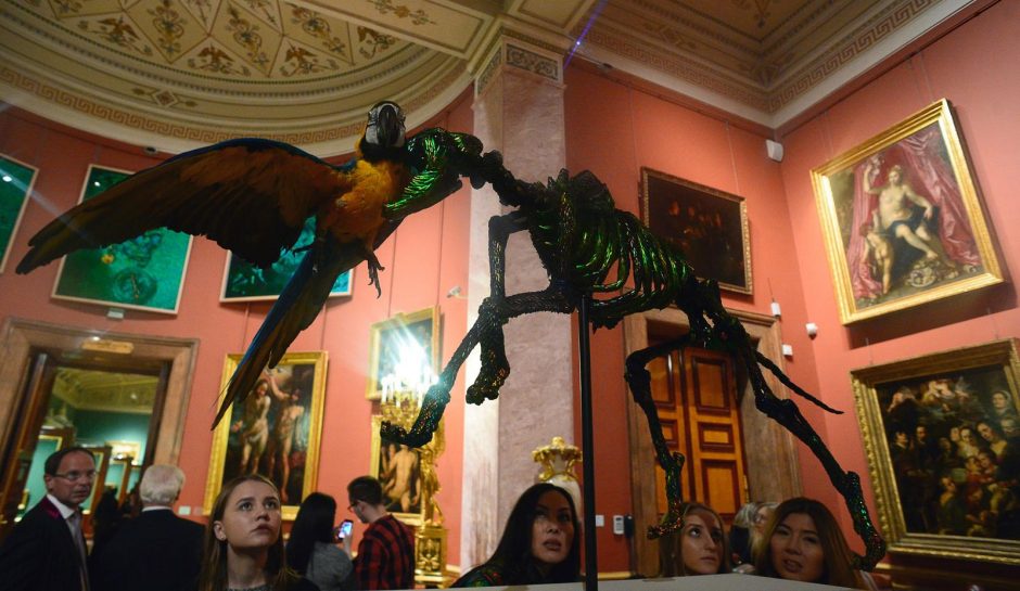 Rusai įniršo dėl gyvūnų iškamšų Ermitažo meno parodoje