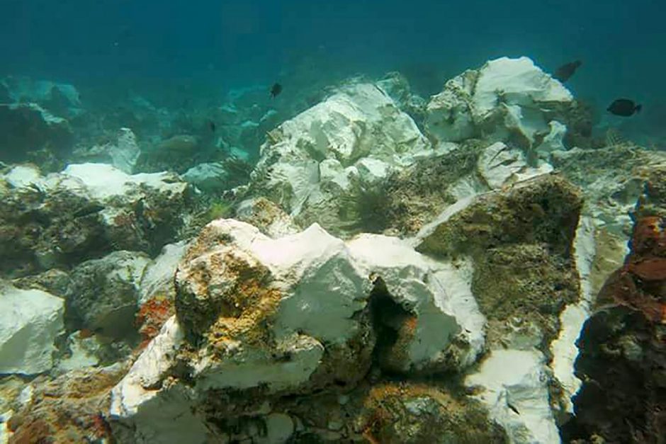 Kruizinis laivas suniokojo Indonezijos koralinį rifą