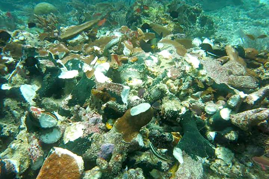 Kruizinis laivas suniokojo Indonezijos koralinį rifą