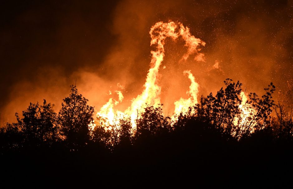 Kroatijoje prie Adrijos jūros siaučia miško gaisrai, evakuojami žmonės