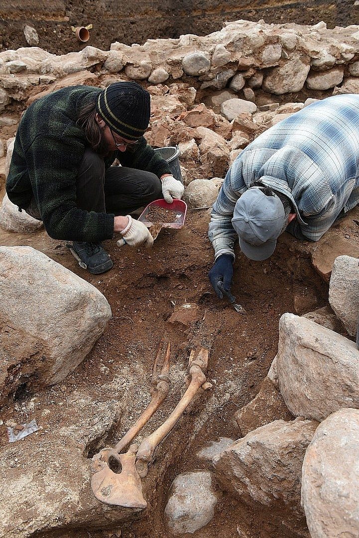 Sukilėlių palaikai iš Gedimino kalno: archeologai atskleis tyrimo detalių