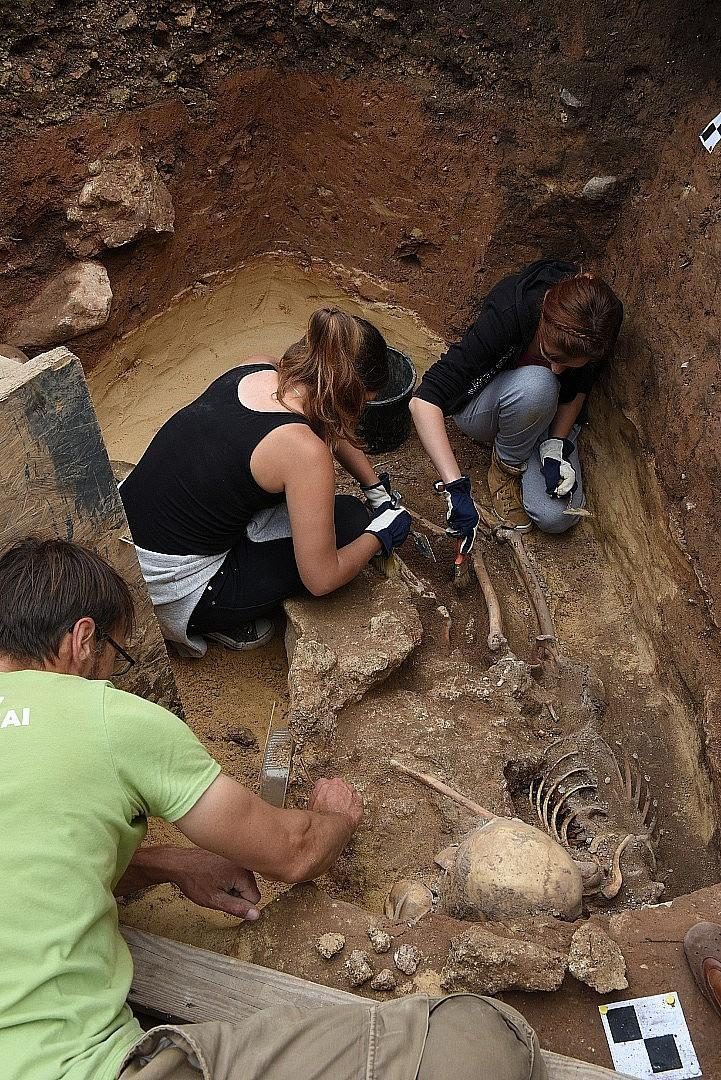 Sukilėlių palaikai iš Gedimino kalno: archeologai atskleis tyrimo detalių