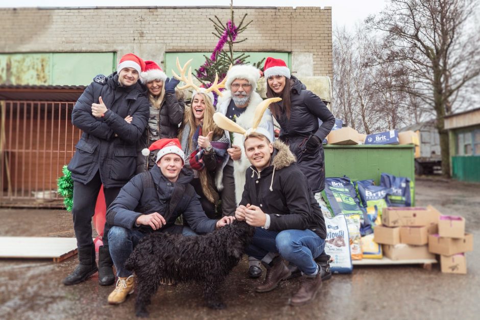 D. Guobytė Kalėdas beglobiams gyvūnams dovanojo savanorių rankomis