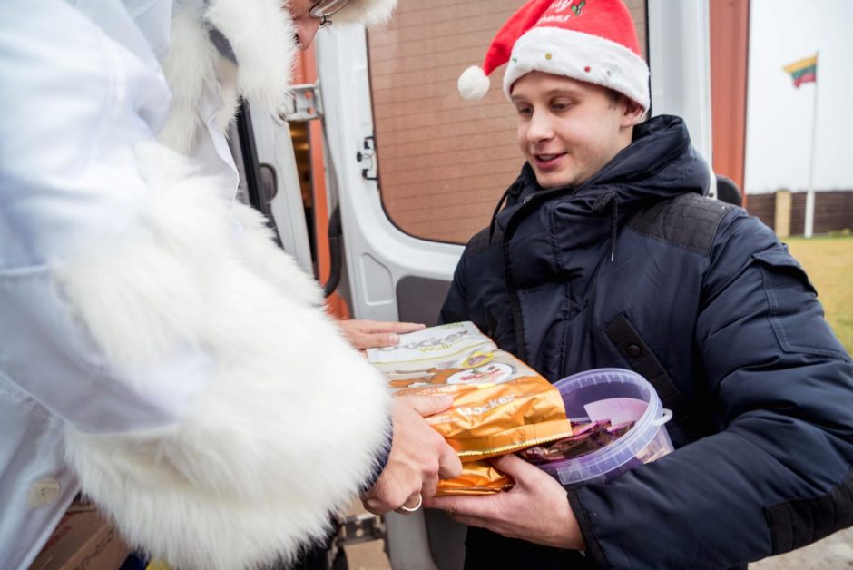 D. Guobytė Kalėdas beglobiams gyvūnams dovanojo savanorių rankomis