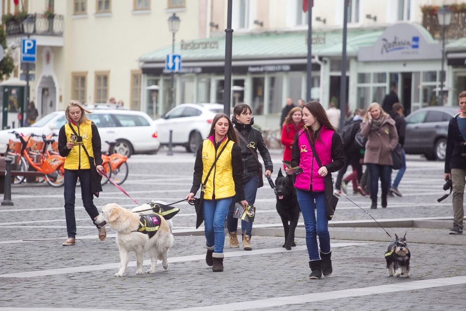 Sostinėje praeivius su Tarptautine gyvūnų diena sveikino šunys