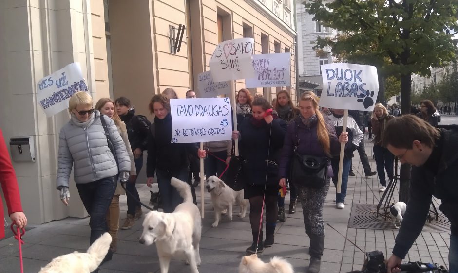 Sostinės centre dėmesį traukė neįprasta gyvūnų eisena