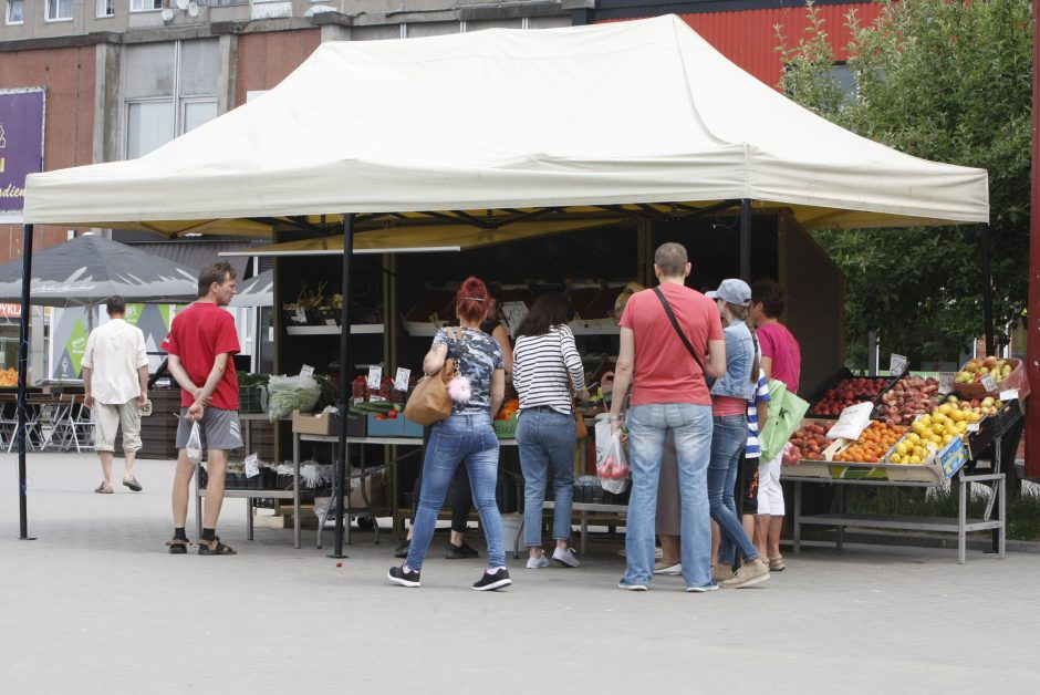 Dėl kioskelių dekoro – svarstymai