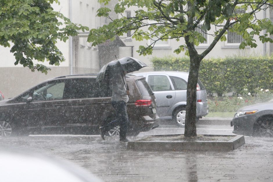 Po liūties Klaipėdoje – laistyti medžių