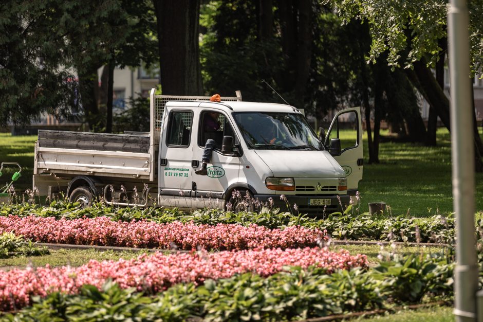 Kaune nesibaigia parkų tvarkymo vajus – ateina ir Ramybės parko eilė