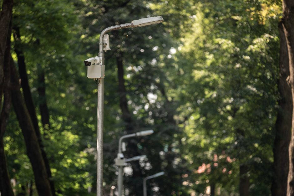 Stebisi sprendimu: saugumo kameros – ramiausioje parko vietoje