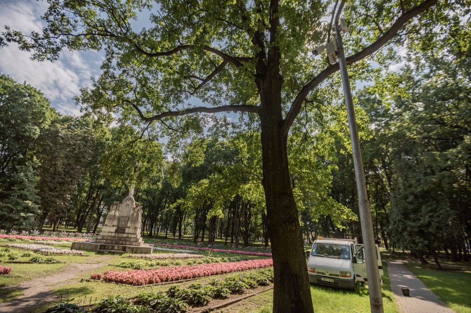 Kaune nesibaigia parkų tvarkymo vajus – ateina ir Ramybės parko eilė