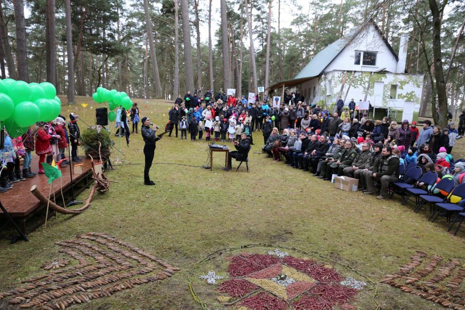 Kulautuvos pušynas pasipuošė naujais inkilais