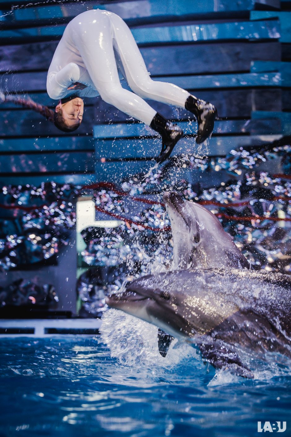 Karatė čempionė R. Pivoriūnaitė TV eteryje atliks salto su delfinais