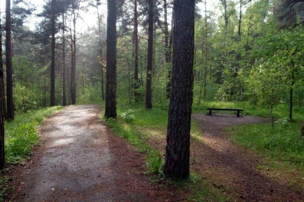 Vilniuje, Pasakų parke, pedofilas išprievartavo mergaitę (papildyta)