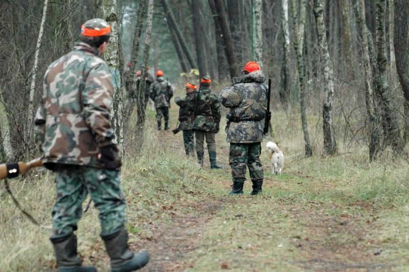 Seimo teisininkai: prezidentės veto „yra netinkamas“