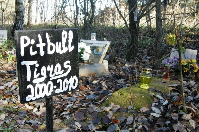 Valdžia kvies perlaidoti gyvūnus į legalias kapines