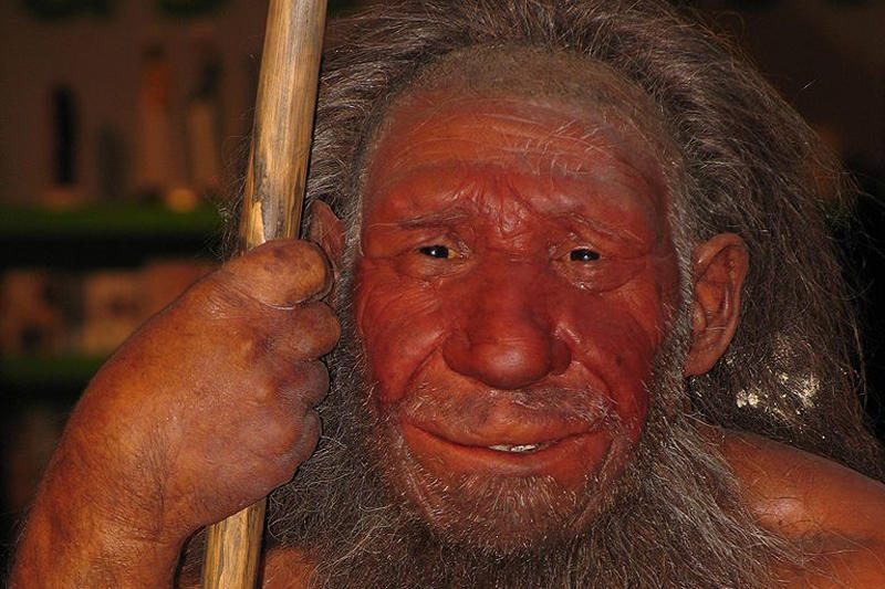 Antropologai: tarp žmonių ir neandertaliečių nebuvo jokio kryžminimosi
