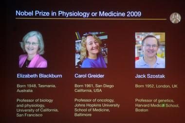 Nobelio medicinos premija skirta 3 JAV mokslininkams