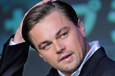L.DiCaprio užpuolikę teismas įkalino dvejiems metams