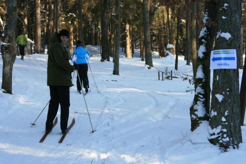 Dešimt kilometrų slidėmis mišku – su šypsenomis ir cinamono arbata