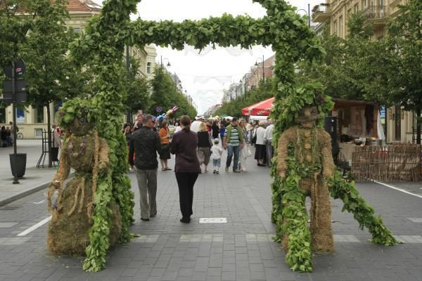 Vilniaus širdyje - žolynų kvapas