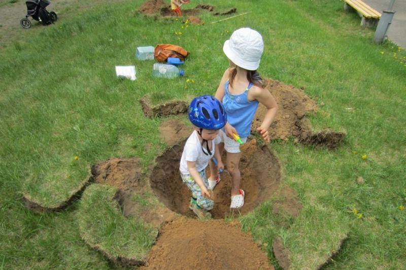 Pilaitės bendruomenė vilniečių daugiabučių kiemuose pasodino 50 medžių