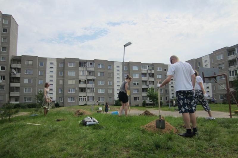 Pilaitės bendruomenė vilniečių daugiabučių kiemuose pasodino 50 medžių