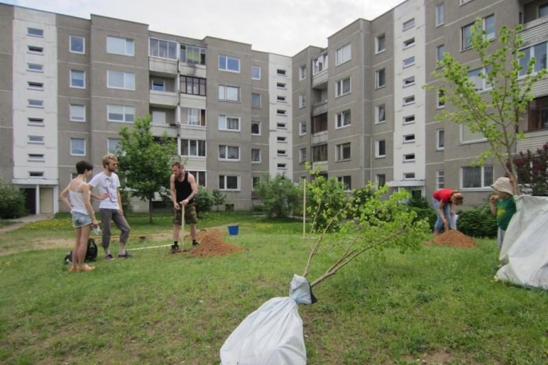 Pilaitės bendruomenė vilniečių daugiabučių kiemuose pasodino 50 medžių