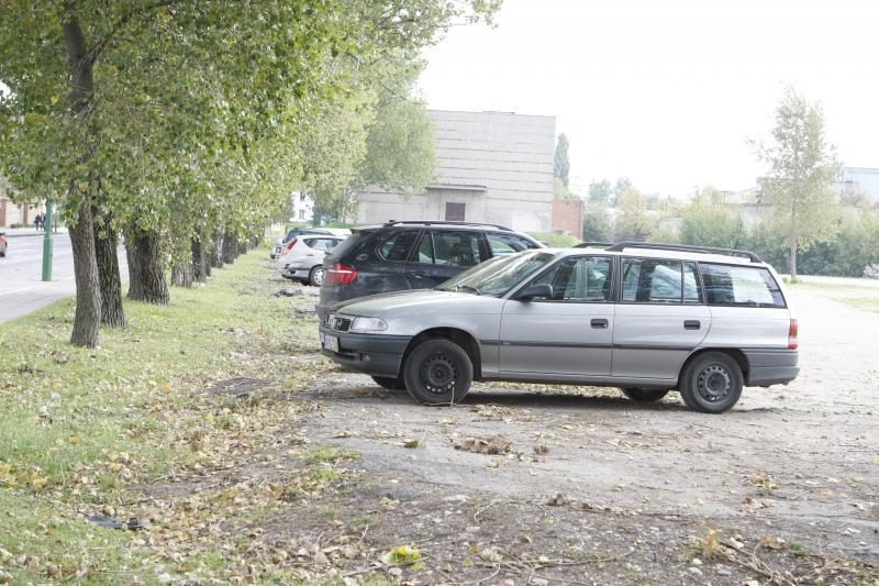 Aplinkosaugininkai Klaipėdoje nori sumažinti mašinų stovėjimo vietų