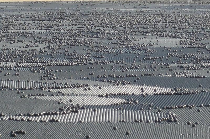 Los Andželo vandens talpyklą užpildė 400 tūkst. juodų kamuoliukų