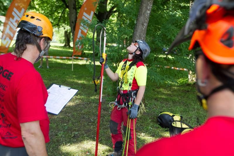 Laipiojimas po medžius – ne tik žaidimas