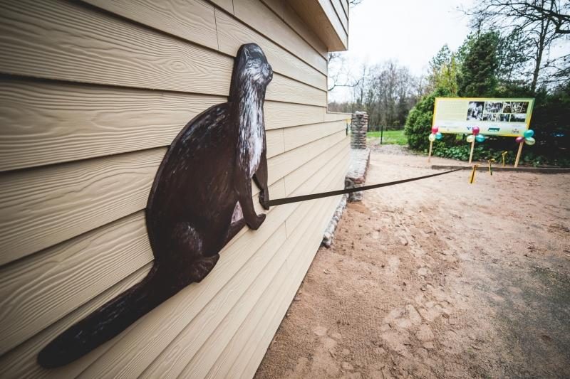 Kauno zoologijos sode duris atvėrė nauji namai ūdroms
