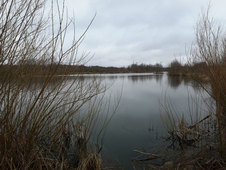 Skelbimas - Sodyba Kupiškio r., Bakšėnų k., Sodų g.