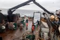 Verslas: &quot;Arctic Fishing&quot; žvejai Barenco jūroje gaudė krabus.