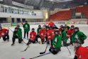 Komanda: Lietuvos moterų ledo ritulio rinktinėje daugumą sudaro šalies klubų žaidėjos.