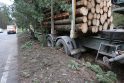 Neišgirdo: ekspertų siūlymai leisti įmonėms, kurios perdirba medieną Lietuvoje, pirmajame rate nusipirkti tiek, kiek gali perdirbti, kad neliktų erdvės spekuliuoti, neišgirsti.