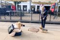 Poveikis: beveik 3 tūkst. šunų nufotografusi G.Kavaliauskaitė mano, kad šunys panaikina barjerus tarp žmonių, padeda skirtingiems žmonėms susišnekėti.