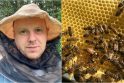 Natūralu: gamtos apsuptyje esančiame Vosbūčių kaime įsikūrusiame M.Kašelionio modernios bitininkystės ūkyje &quot;Gintarinis medus&quot; bičių šeimos gyvena mediniuose aviliuose, o medų neša iš ekologinio ūkio laukų. 