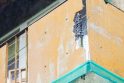 Aistros dėl balkono remonto: už naujakurį turės mokėti visi namo gyventojai